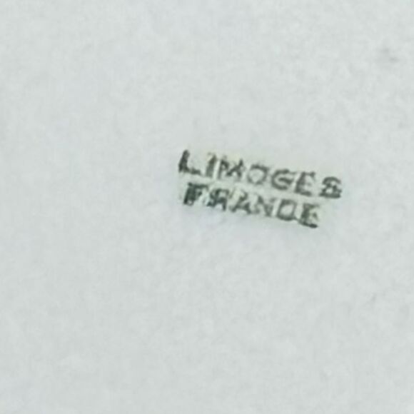 Vintage Limoges France Plate | Hand-Painted
Floral | Collectible - Picture 4 of 7